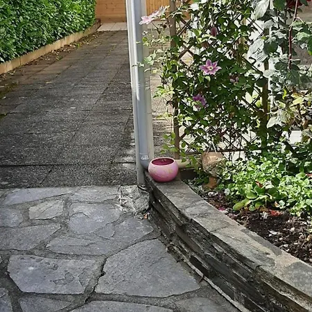 L'enclos Des Lys -appartement Daire Aurillac